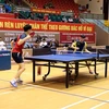 Un tournoi international de tennis de table commence à Hai Duong