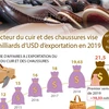 Le secteur du cuir et des chaussures vise 21,5 milliards d’USD d’exportation en 2019