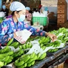 Baisse légère des exportations de fruits et légumes en sept mois