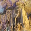 Grotte de Nhà Trò, un théâtre en haute mer 