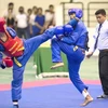 400 sportifs en lice pour le 26e Tournoi national de Vovinam Viet Vo Dao 