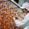 Mise en service d’une usine de production de kakis séchés à Lam Dong