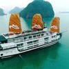 Lancement des bateaux de croisière Paradise Sails sur la baie d'Ha Long