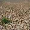 La Thaïlande renforce les aides aux agriculteurs touchés par la sécheresse 