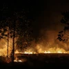 Indonésie : le gouvernement crée des pluies artificielles pour prévenir les incendies de forêt