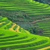 Sa Pa et Ninh Binh dans le top des destinations les plus attrayantes en Asie