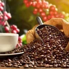 Le Japon augmente ses importations de café vietnamien