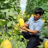 Ninh Thuan: Près de 730 milliards de dôngs pour la réduction durable de la pauvreté