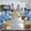 Soutenir des entreprises vietnamiennes pour accroître leurs exportations vers l’Allemagne