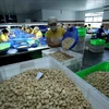 Minimiser les dégâts pour des exportateurs de noix de cajou dans une affaire de risque de fraude