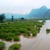Développement durable: le Vietnam doit établir une feuille de route pour la "transition verte" 