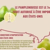 Le pamplemousse est le 7e fruit vietnamien autorisé à être importé aux États-Unis