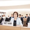 Le Vietnam promeut des initiatives pour améliorer l’efficacité du Conseil des droits de l’homme