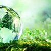 Hanoï organisera un dialogue sur l'environnement en juillet