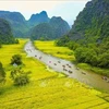Ninh Binh travaille à relancer son secteur du tourisme 