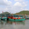 Ba Ria-Vung Tau impose de lourdes amendes aux navires violant les règles de lutte contre la pêche INN