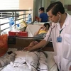 Le Vietnam achève ses recherches sur le vaccin contre la dengue