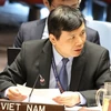 Le Vietnam soutient les efforts pour la paix du Conseil de sécurité de l’ONU