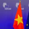Une année spéciale pour les relations Vietnam-Union européenne
