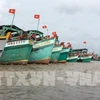 Tien Giang : efficacité de la sensibilisation des pêcheurs sur l’INN