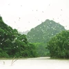 Le site écologique du jardin aux oiseaux de Thung Nham à Ninh Binh