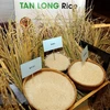 L'exportation de riz prévoit d'atteindre plus de 3,15 milliards de dollars en 2018