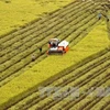 La visioconférence pour faire le bilan du secteur agricole en 2018