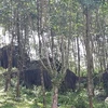 Aide allemande pour la conservation de la biodiversité forestière à Thua Thien-Huê
