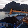 Vinacomin produit 14,86 millions de tonnes de charbon brut depuis janvier