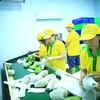 Vina T&T exporte 71 tonnes de mangues aux États-Unis