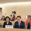 Conseil des droits de l'homme: discussion sur le droit des femmes et le changement climatique
