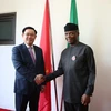 Entretien entre le vice-Premier ministre Vuong Dinh Hue et le vice-président nigérian