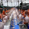 Préparatifs en cours pour exporter de la viande de poulet vers la Russie