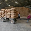 La Malaisie importe 100.000 tonnes de riz de l'Inde