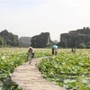 Le Vietnam continue de prendre des mesures de promotion du tourisme interne