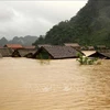 Le Vietnam cherche à limiter les pertes causées par les catastrophes naturelles