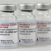 ​COVID-19: le Vietnam approuve d'urgence le vaccin Moderna 