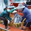 Mobilisation des ressources pour supprimer le "carton jaune" sur la pêche INN