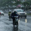 De fortes pluies s’abattent sur la région moyenne et montagneuse du Nord 