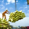 Promouvoir les exportations de riz de haute qualité vers le marché de l'ASEAN