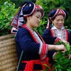 Evaluation d'un projet financé par le Canada en faveur des femmes ethniques à Lai Chau