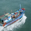 La CE reconnaît les efforts du Vietnam pour faire retirer le "carton jaune" sur la pêche INN