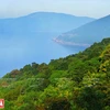 La péninsule de Son Trà, un cadeau de la nature pour Da Nang