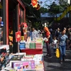 Ouverture de la Rue des livres du printemps de l’Année du Cochon à Hanoï