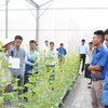 Bac Giang: transfert de techniques de production agricole high-tech aux jeunes locaux