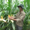 Bayer assiste le Vietnam pour développer l’agriculture high-tech
