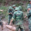 Soutien de la subsistance pour les victimes des bombes et des mines au Vietnam