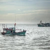 INN : Kiên Giang soutient les propriétaires des bateaux de pêche 