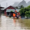 Les Pays-Bas viennent en aide aux habitants des zones inondées à Quang Nam