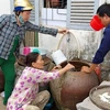 Le Nam Bô occidental face à la pénurie d’eau douce